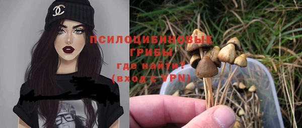 стаф Новодвинск