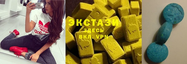 амф Новозыбков
