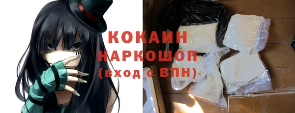 амф Новозыбков
