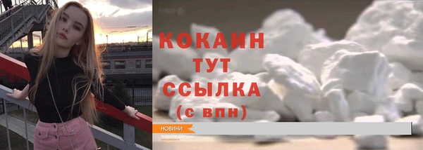 амф Новозыбков
