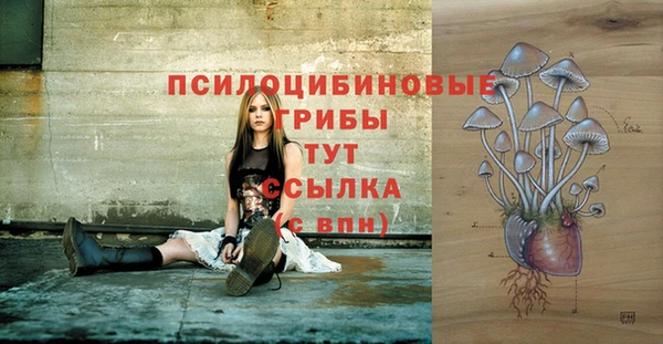 амф Новозыбков