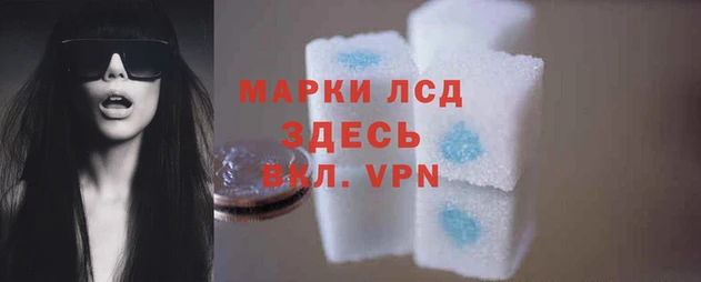 стаф Новодвинск