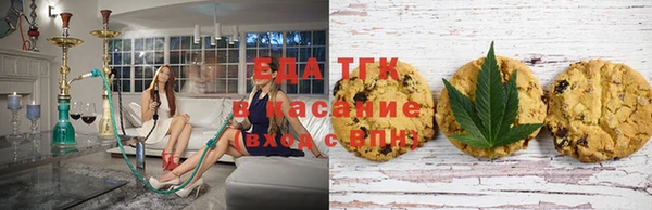 стаф Новодвинск