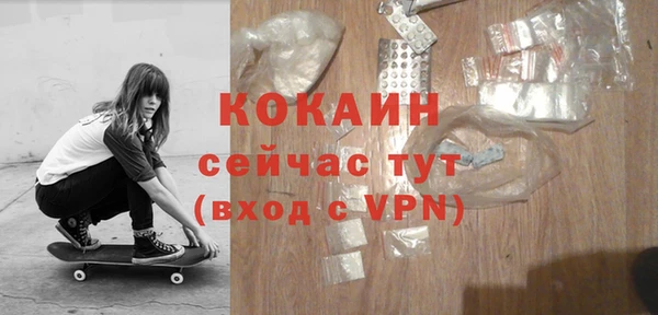 стаф Новодвинск