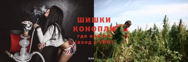 стаф Новодвинск