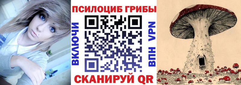 Галлюциногенные грибы мухоморы  где продают наркотики  Тольятти 